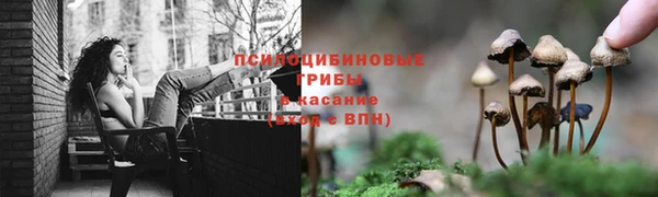 мяу мяу мука Белокуриха