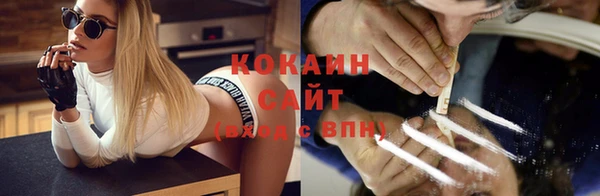 мяу мяу мука Белокуриха