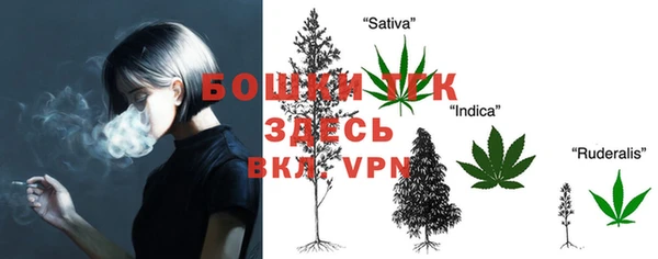 мяу мяу мука Белокуриха
