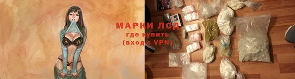 мяу мяу мука Белокуриха