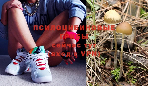 мяу мяу мука Белокуриха