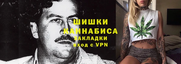 индика Арсеньев