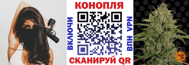 купить  сайты  Пятигорск  Каннабис конопля 